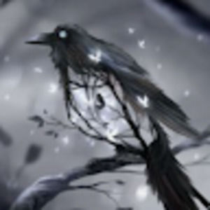 Meet your Posher, Parker